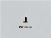 藏品(蔬菜害蟲)的圖片